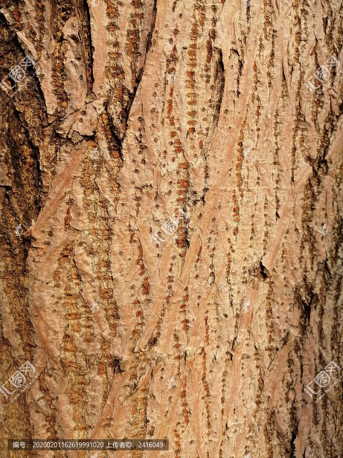 树皮木纹纹理背景图