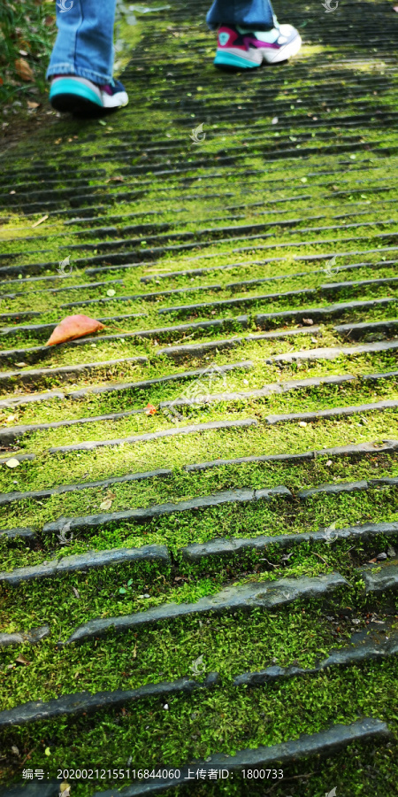 青苔石阶路