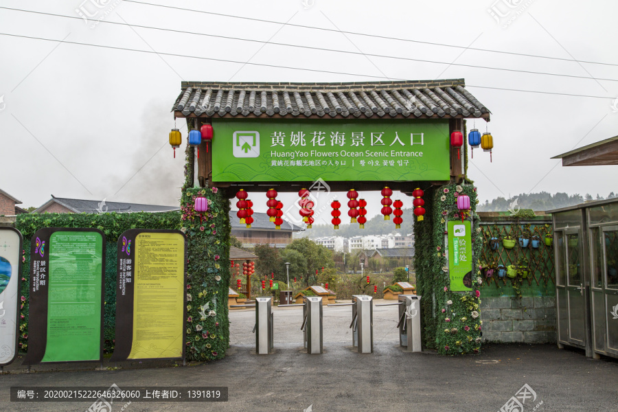 黄姚花海景区