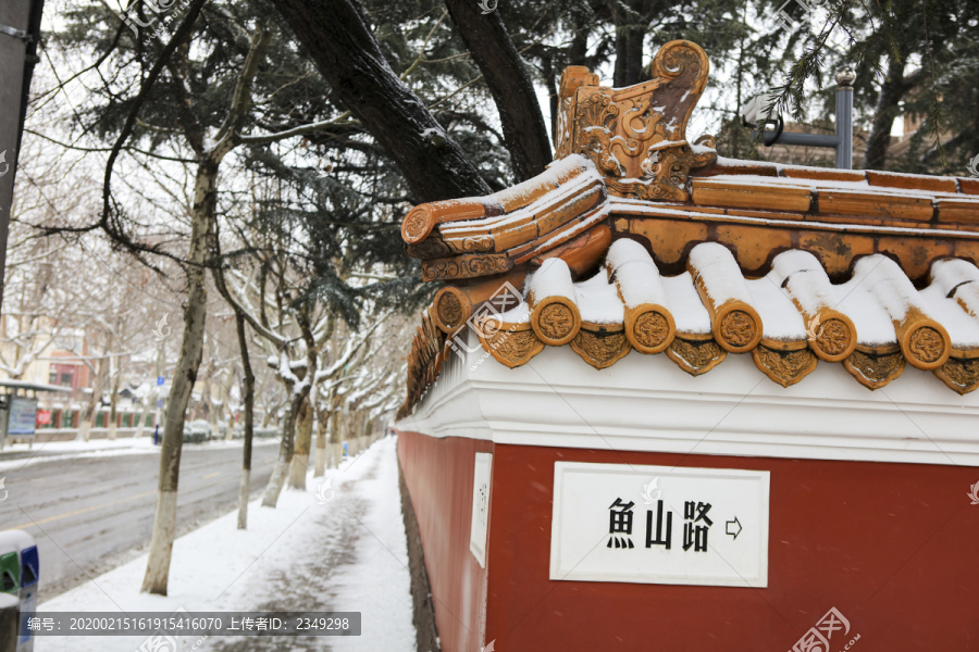 雪后的青岛大学路