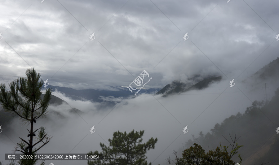 高山云雾