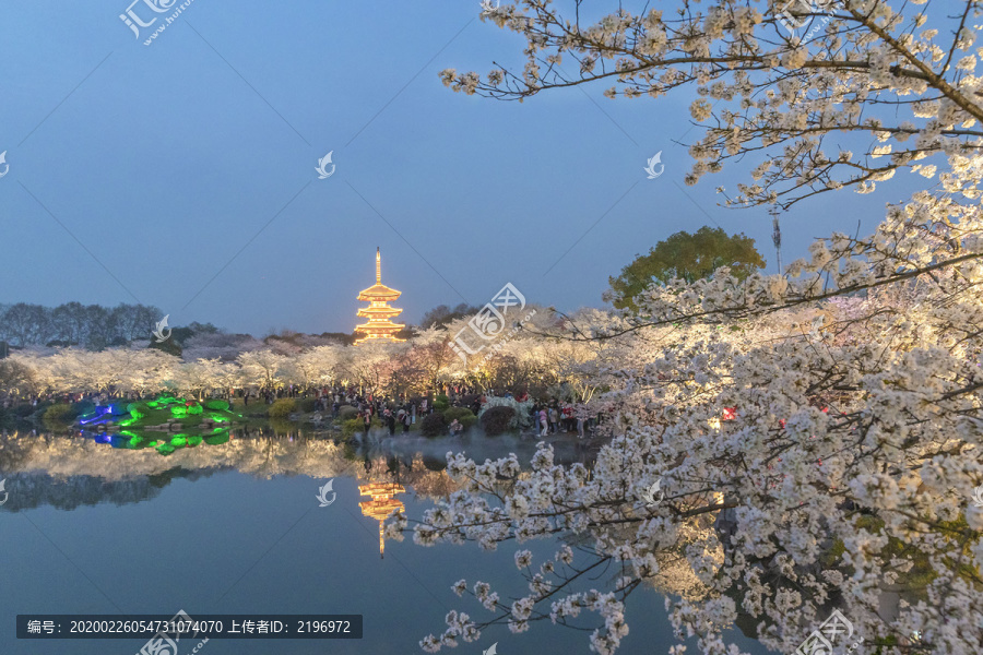 东湖樱园夜色