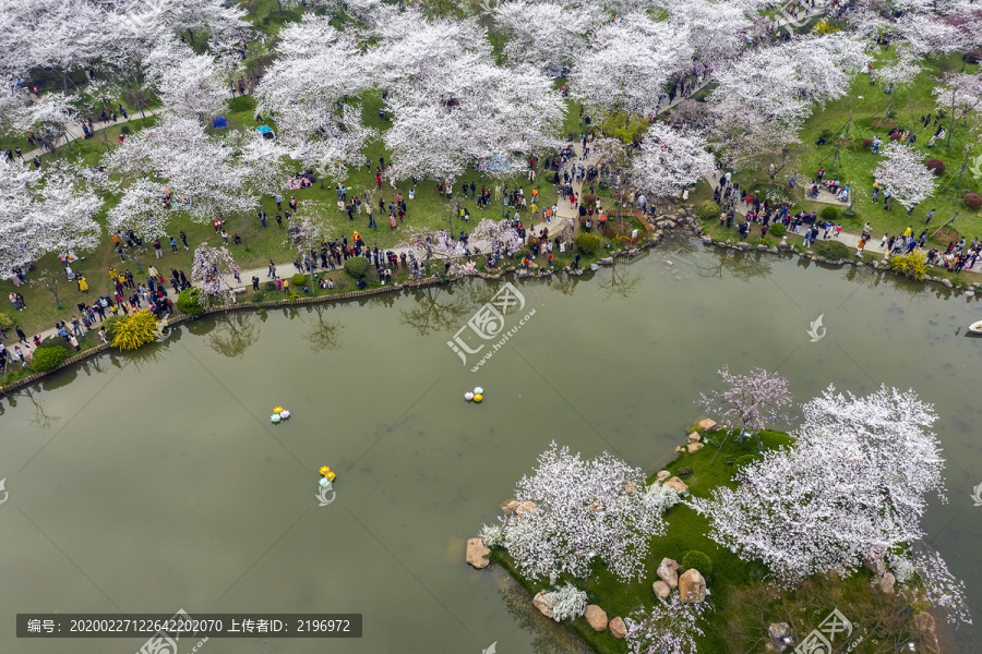 俯瞰东湖樱花园