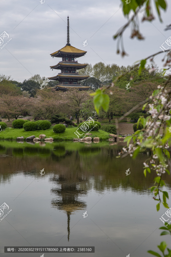 武汉东湖樱花园