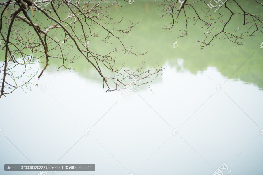 树木湖水背景