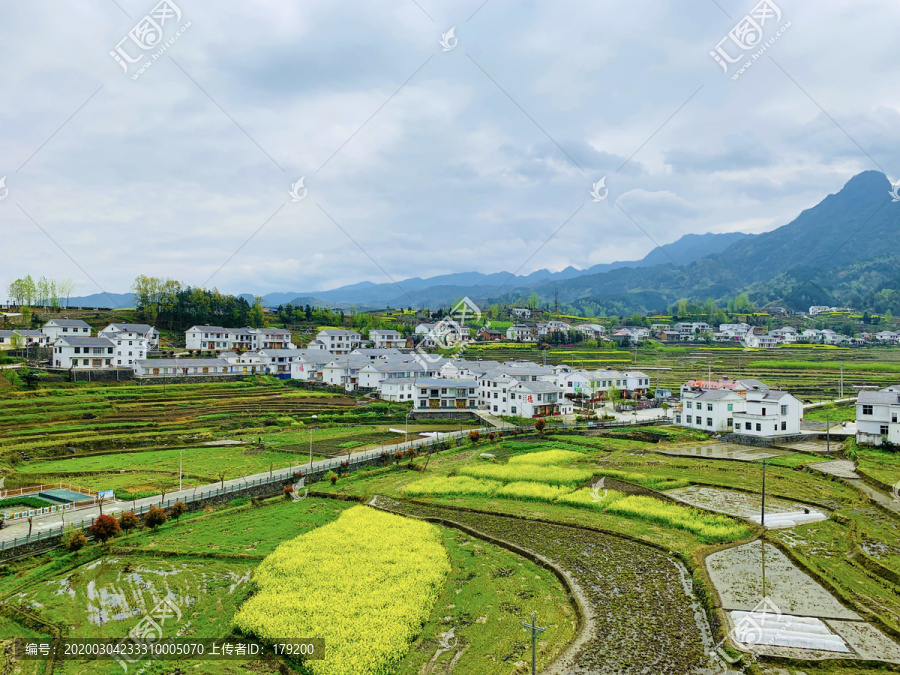 竹溪油菜花五