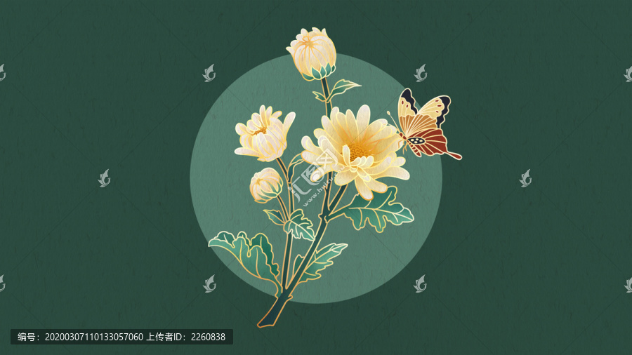 国潮中国风金线描边花卉胎菊