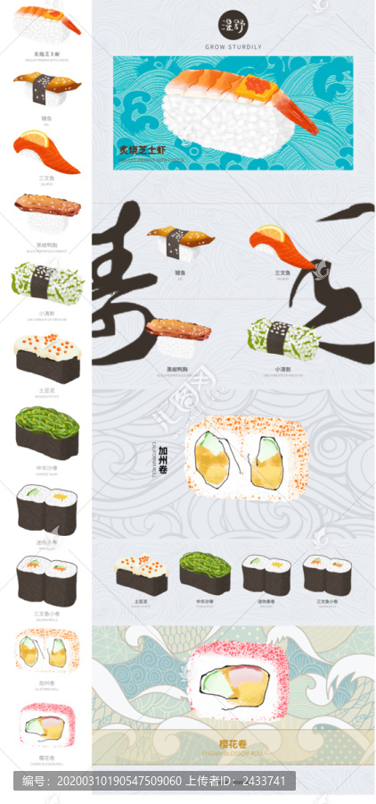 原创寿司插画