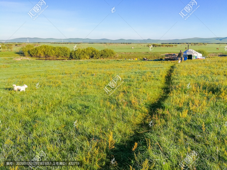 夏季草原清晨蒙古包