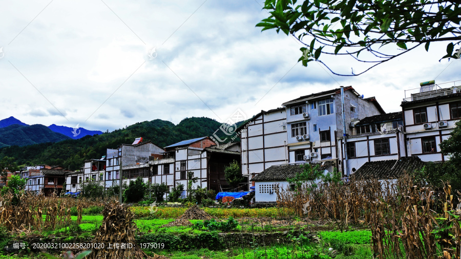 青木川古镇