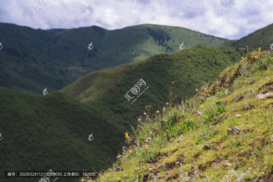 新都桥草原风光