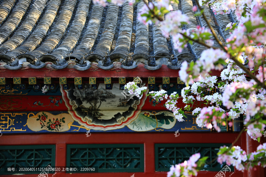 古建筑海棠花