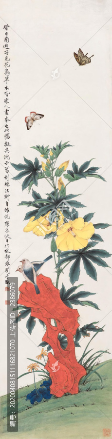 于非闇蜀葵双鸟