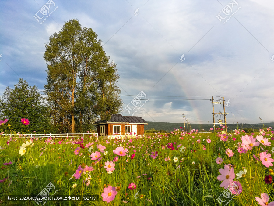 格桑花小木房