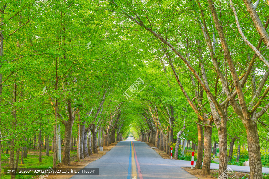 绿色时空隧道