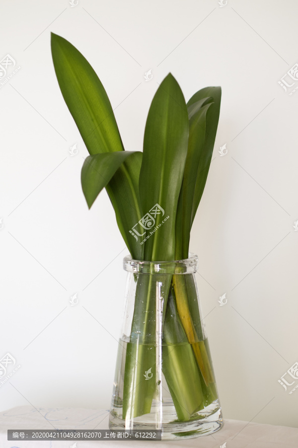 绿叶装饰插瓶
