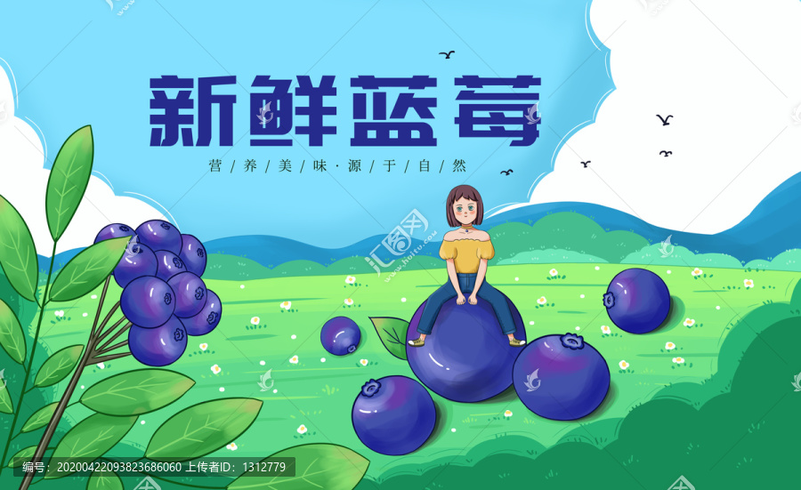 蓝莓水果盒子包装插画设计