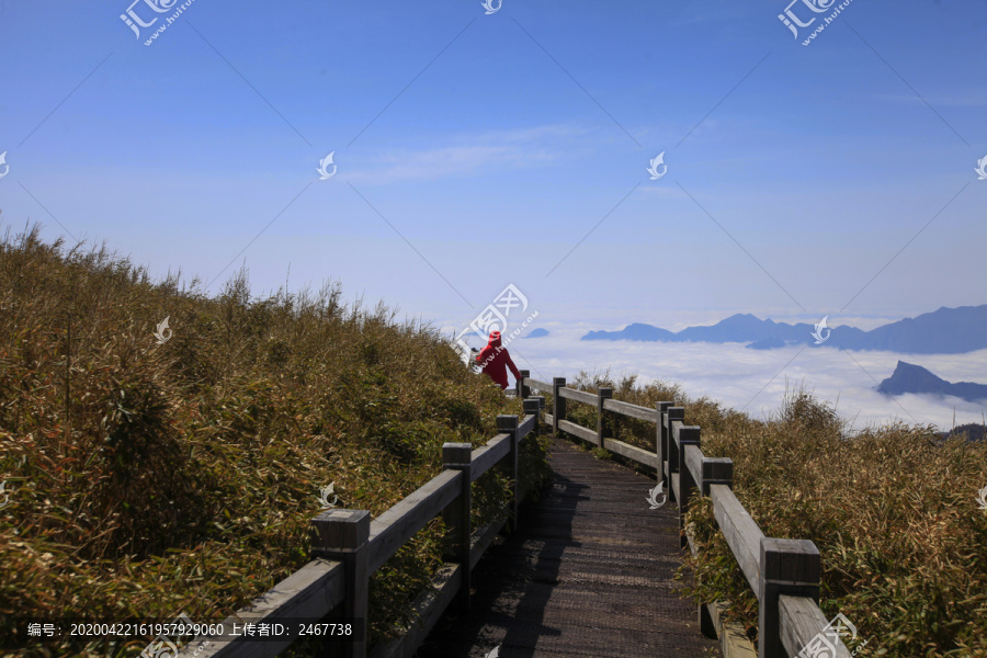 神农顶风光