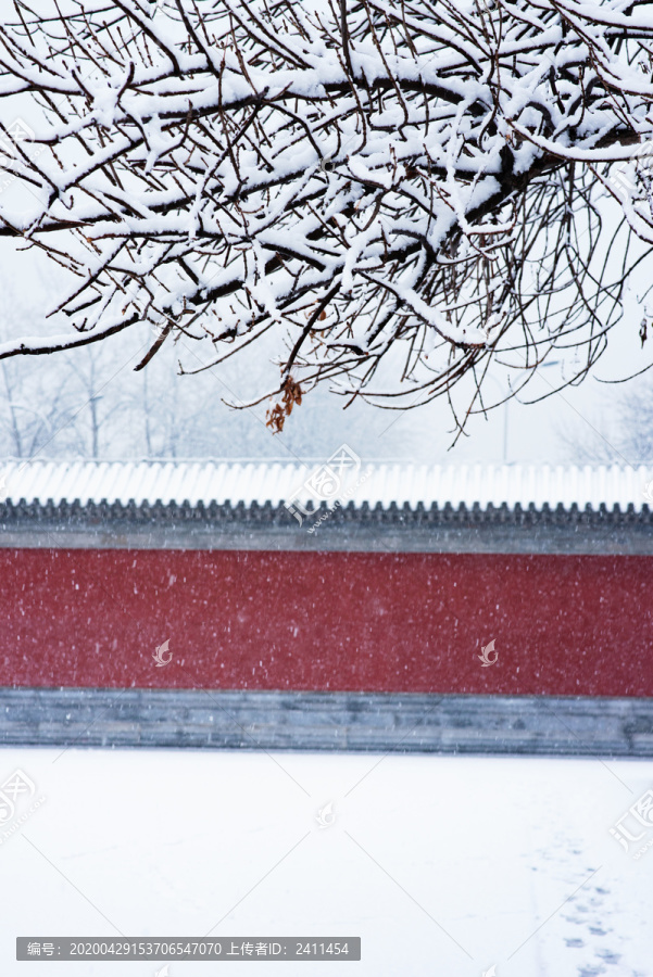 下雪中的红墙