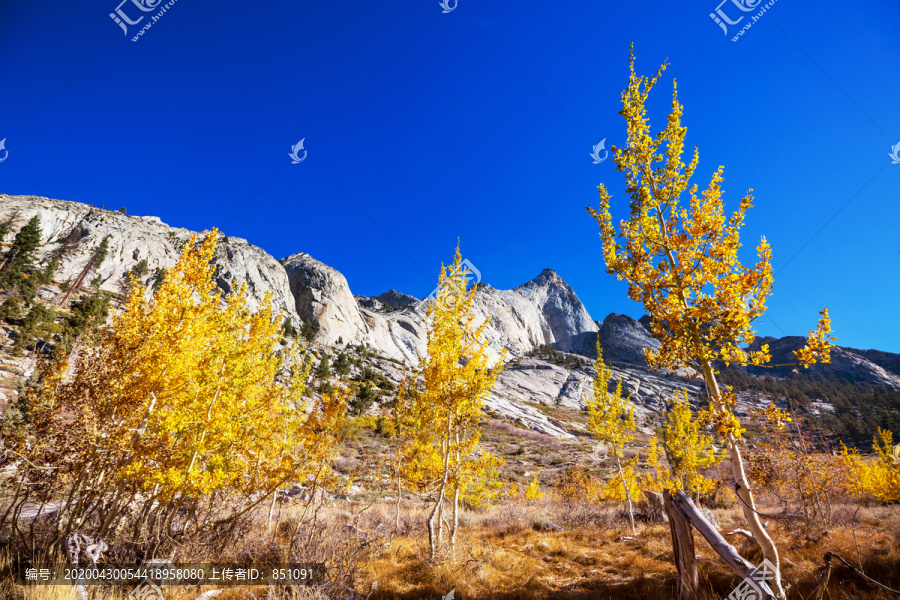 内华达山脉风景