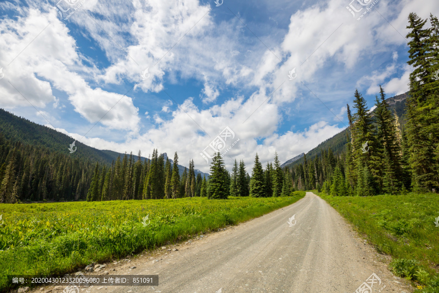 山里的风景路