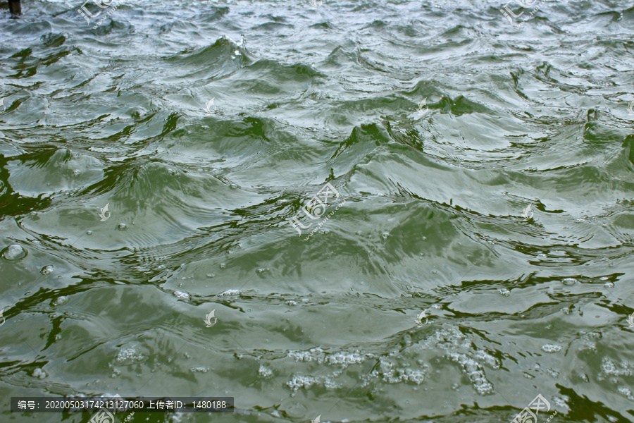 海浪水浪花水泡