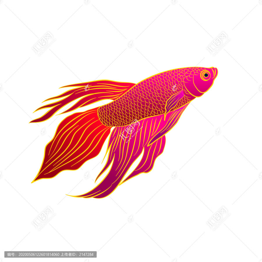 矢量彩色线稿金鱼图案