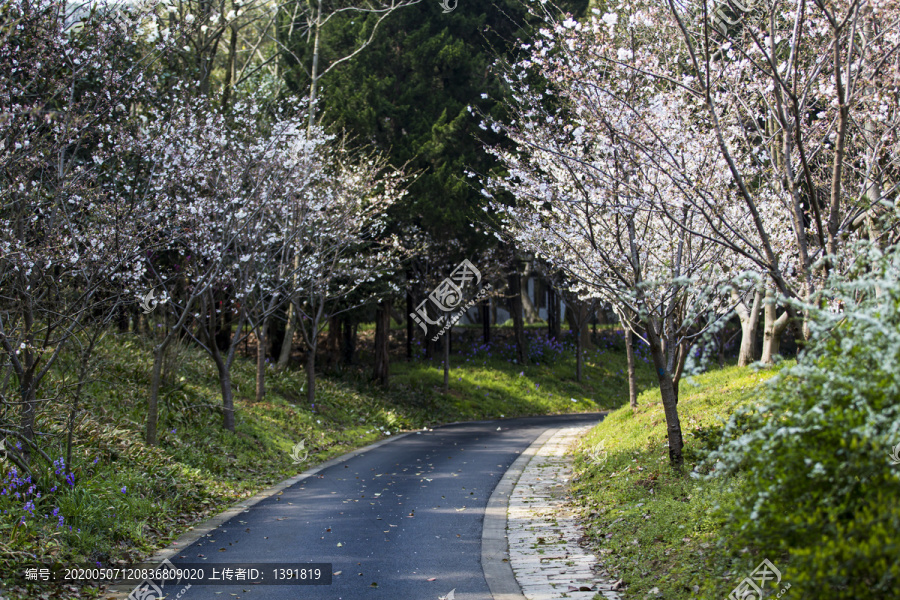 太湖鼋头渚风景区