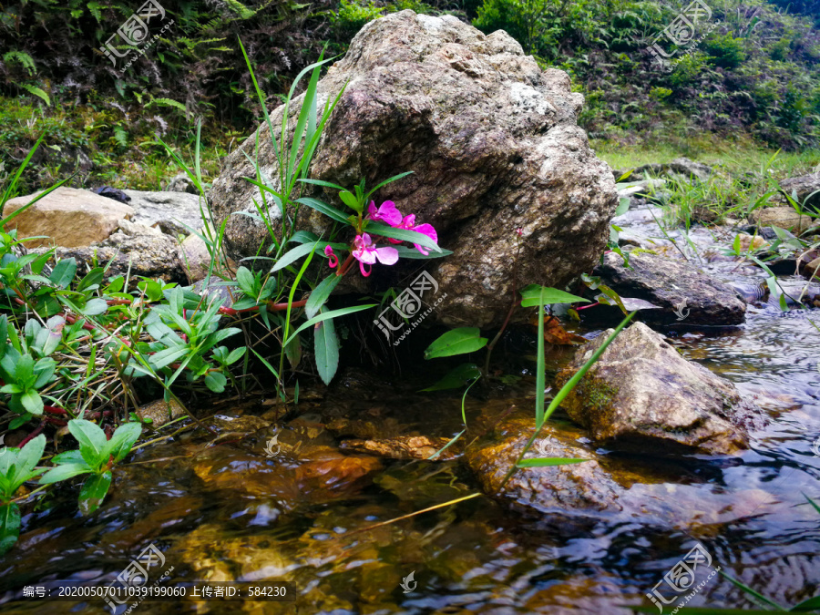 鸡笼顶风景