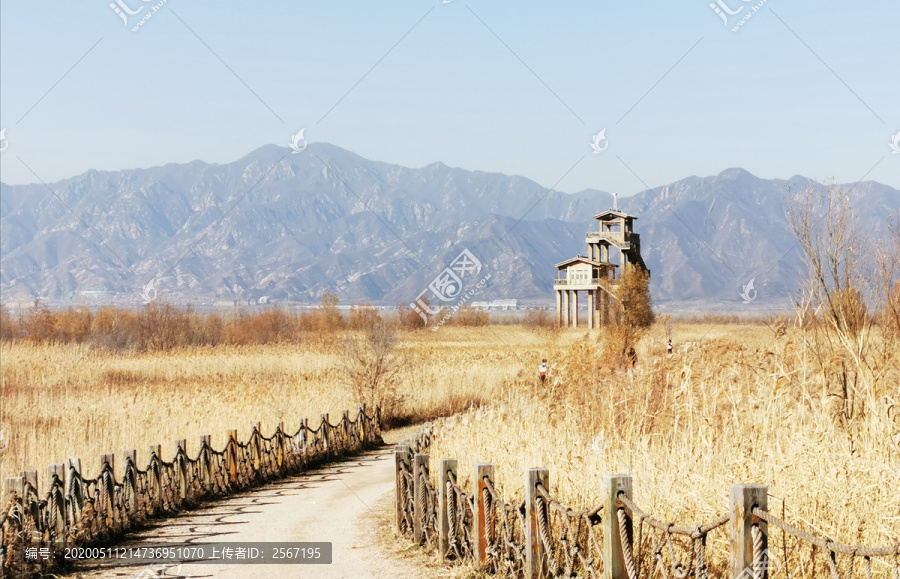 野鸭湖湿地公园