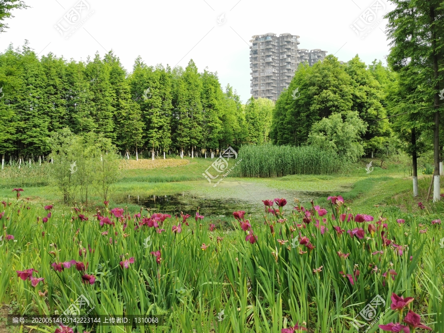 贵阳十里河滩湿地公园