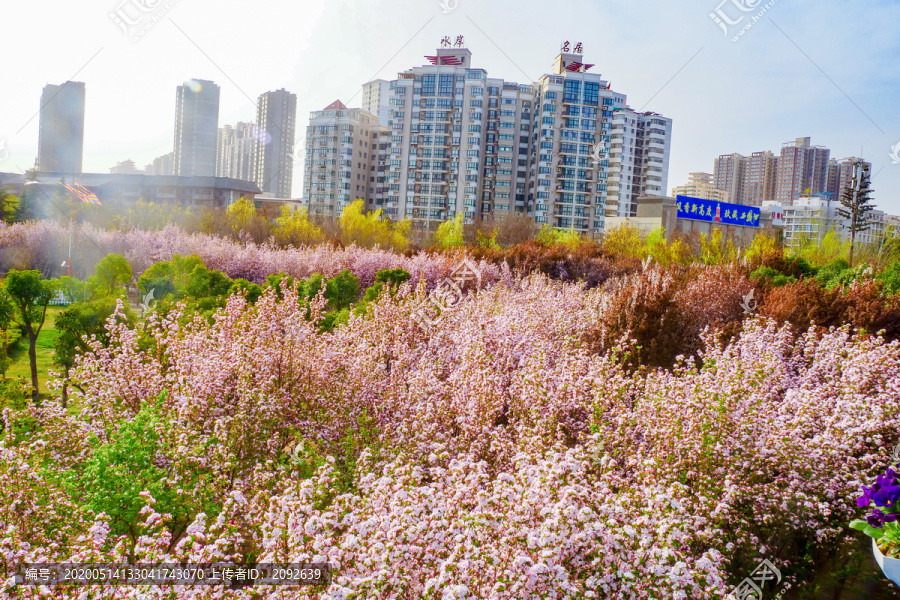 城市景观