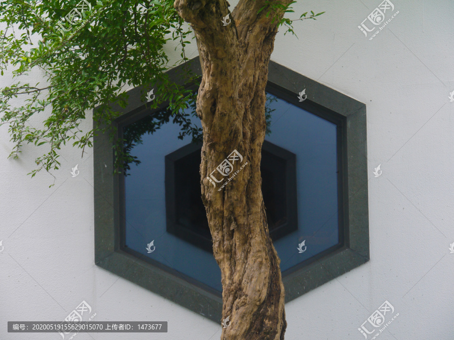 窗外的石榴树