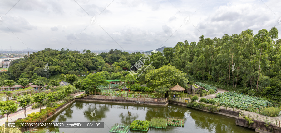 湿地公园