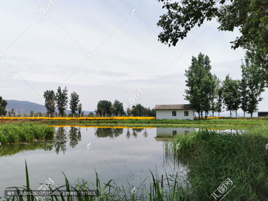湿地公园
