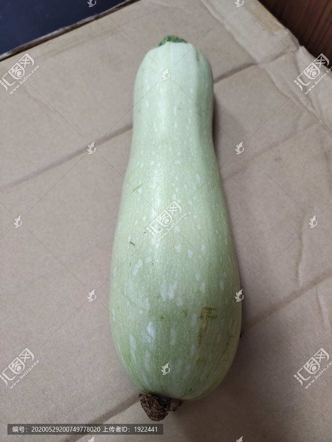 西葫芦主图