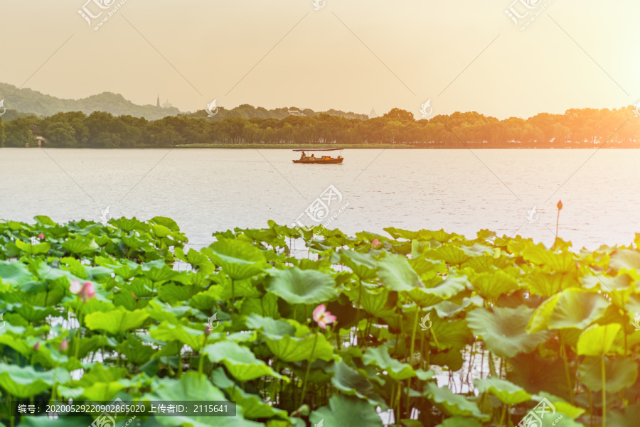 杭州西湖夏天