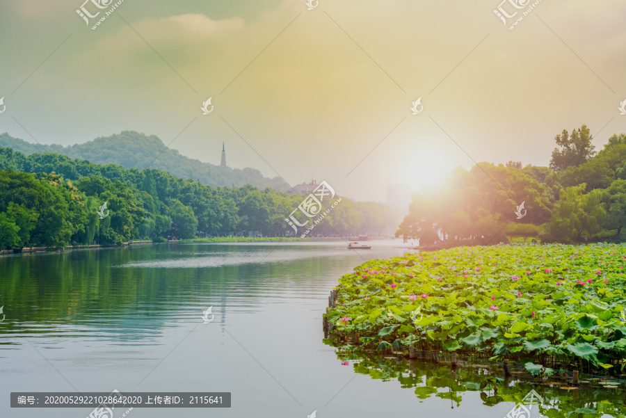 杭州西湖夏天