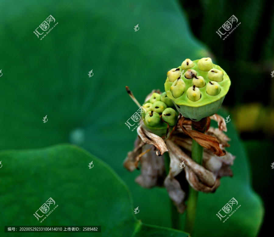 残荷