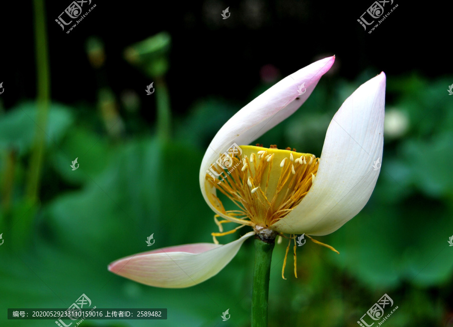 残荷