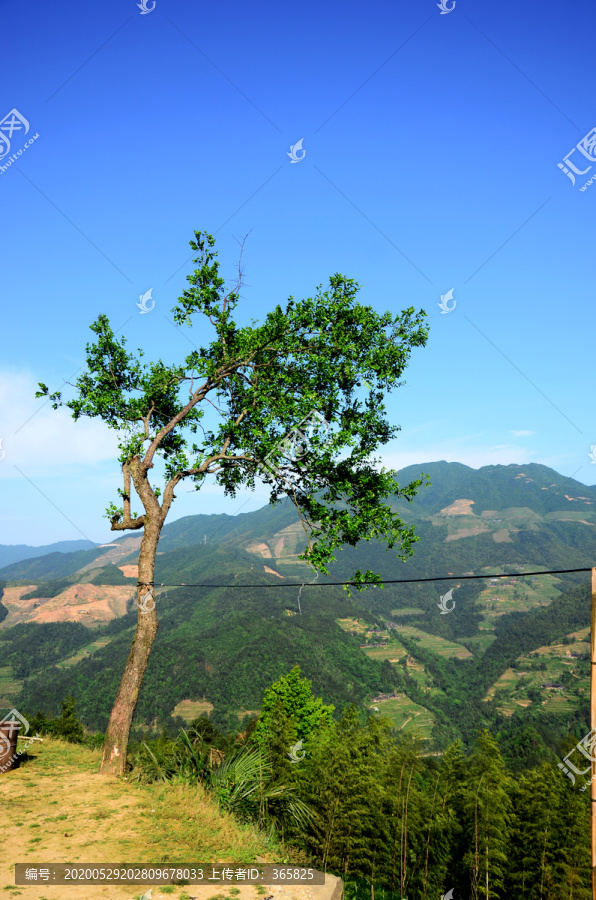 山村