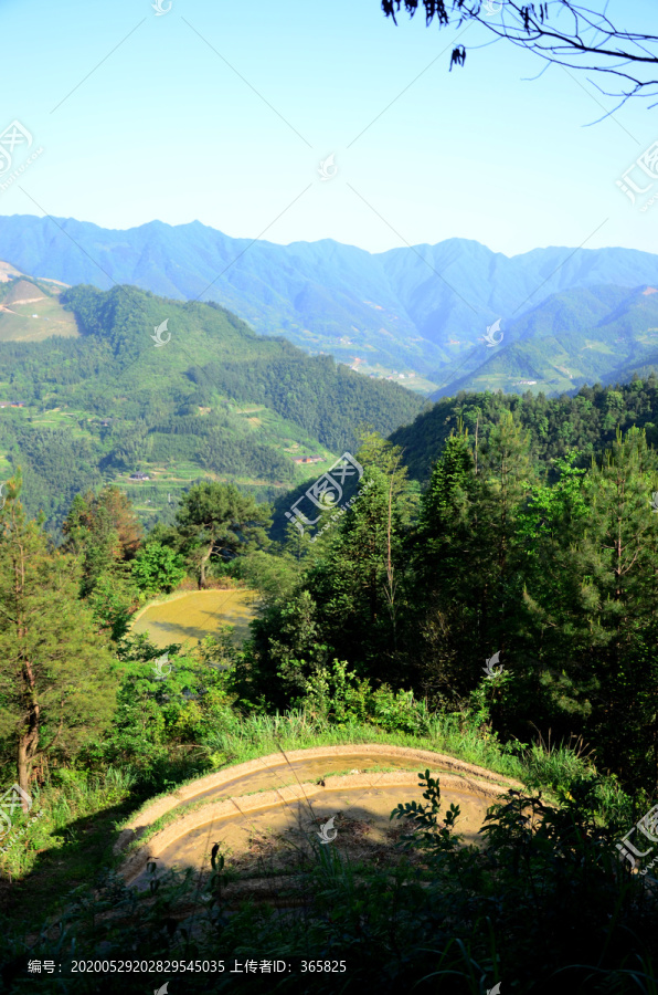 山村