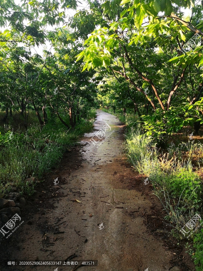 风景