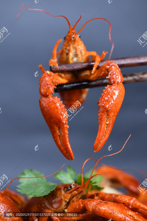 小龙虾钳子