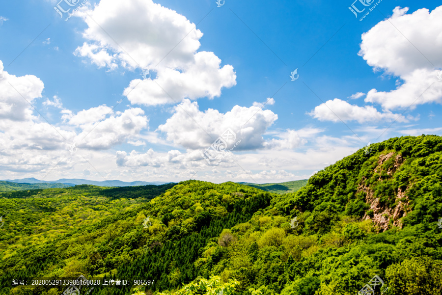 青山