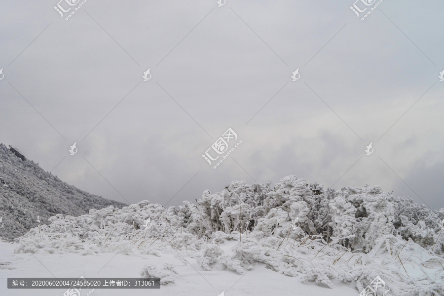 雪景