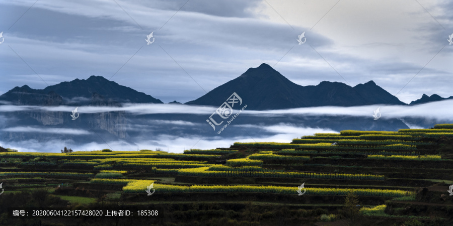 梯田雨雾