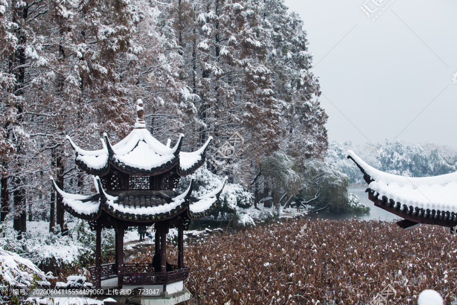 西湖雪韵