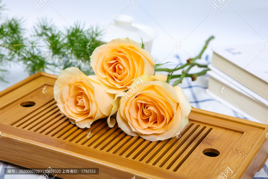 玫瑰花