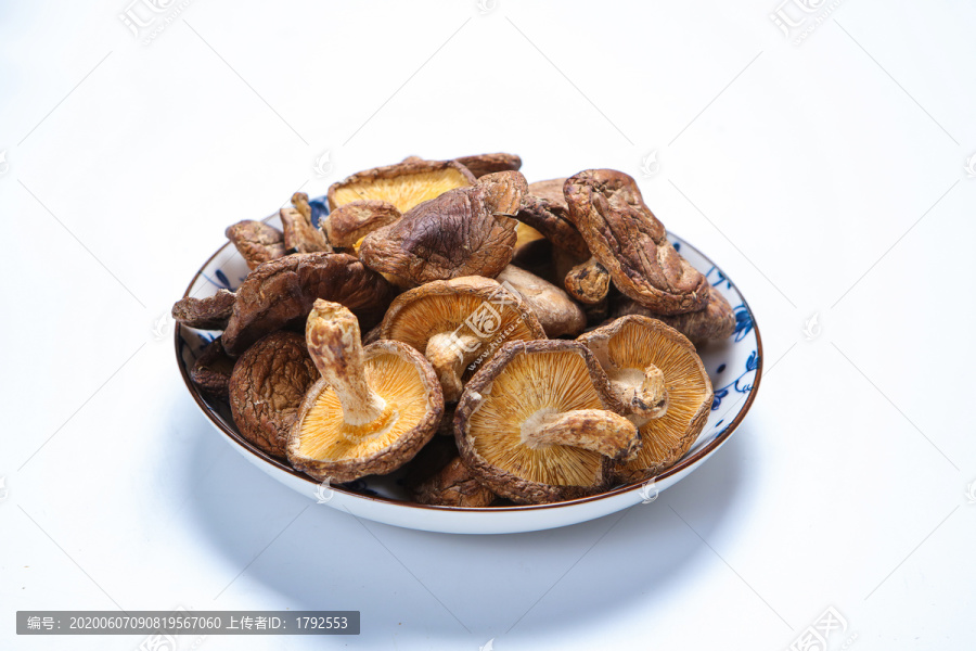 香菇菌